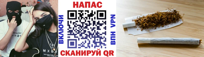 блэк спрут вход  Кологрив  Шишки марихуана Ganja 